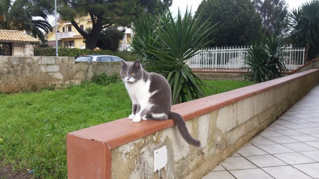 Quando si fa la pappa?