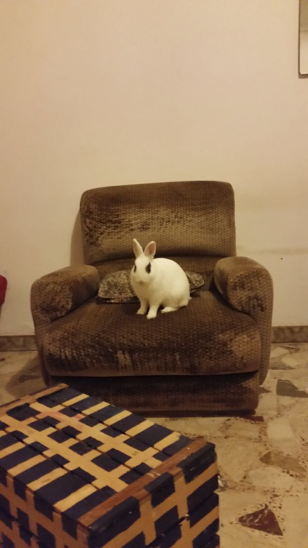 che c'è in Tv stasera?