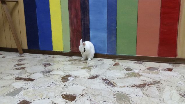 lavatevi la faccia...