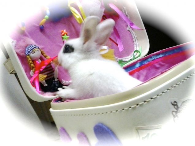 ehy ho trovato una fidanzatina