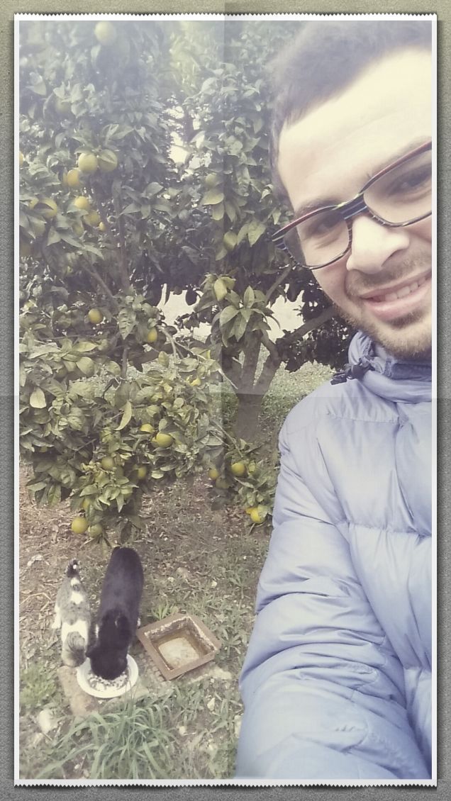 la pappa al quadrato