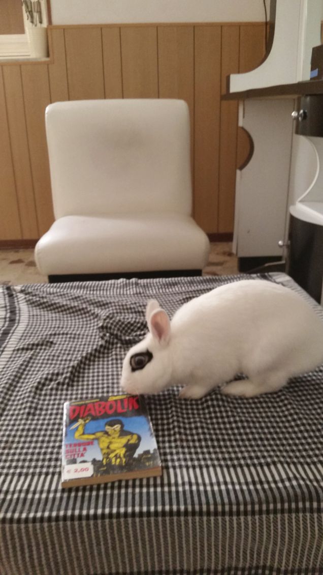 FUMETTO SI FUMETTO NO