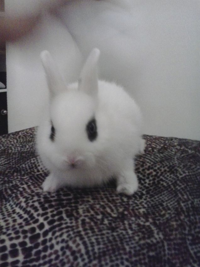 il primo giorno con me