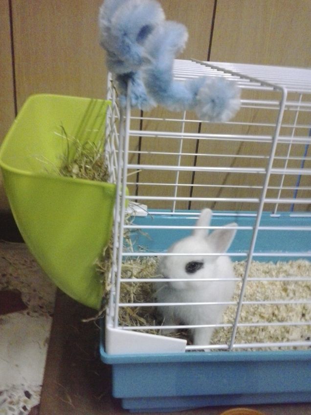 quanto ero piccolo...