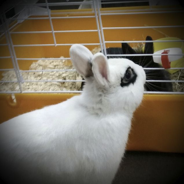 we amico ben arrivato!