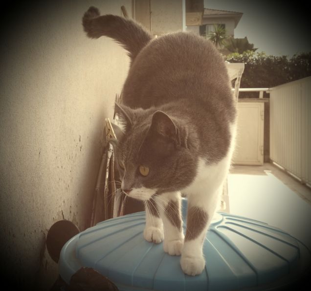 Ma che bella giornata...