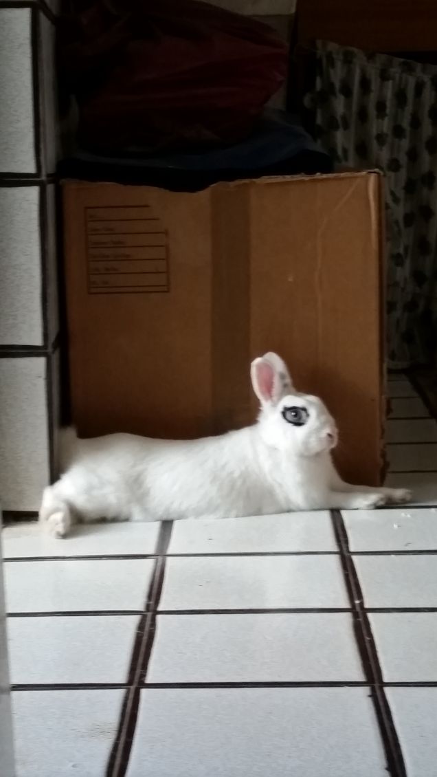 r e l a x m a t t u t i n o