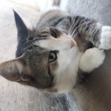 Foto varie dei miei bimbi
