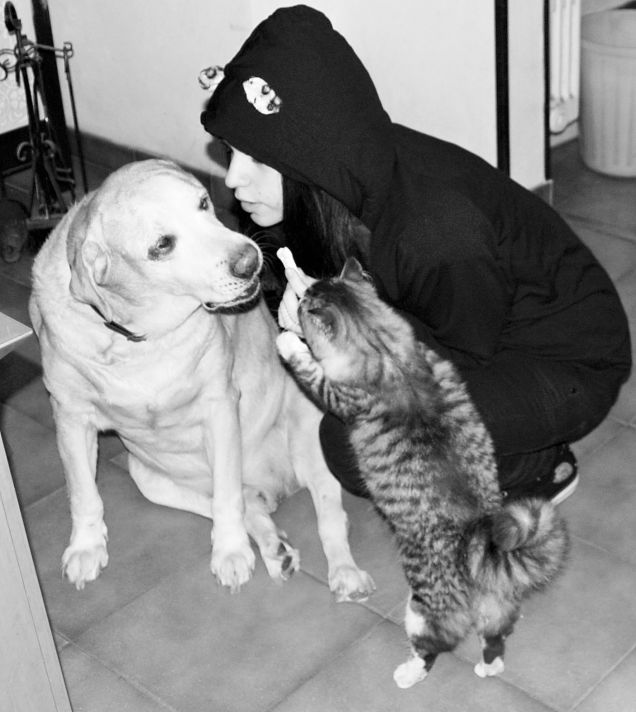 Un amore in comune: i gatti