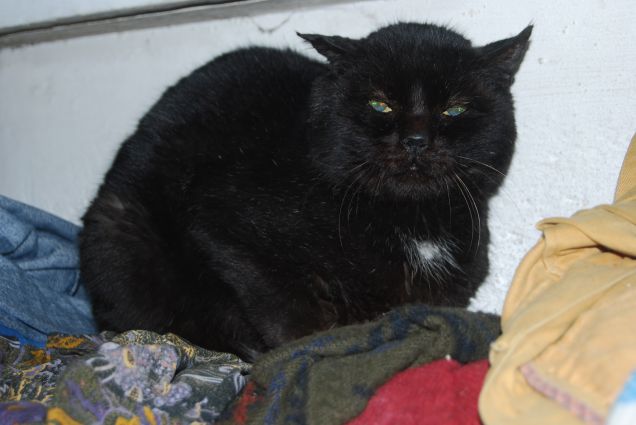 Scontrosetto, ma sotto sotto dolcissimo