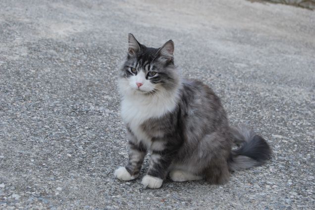 La mia bellissima bambina