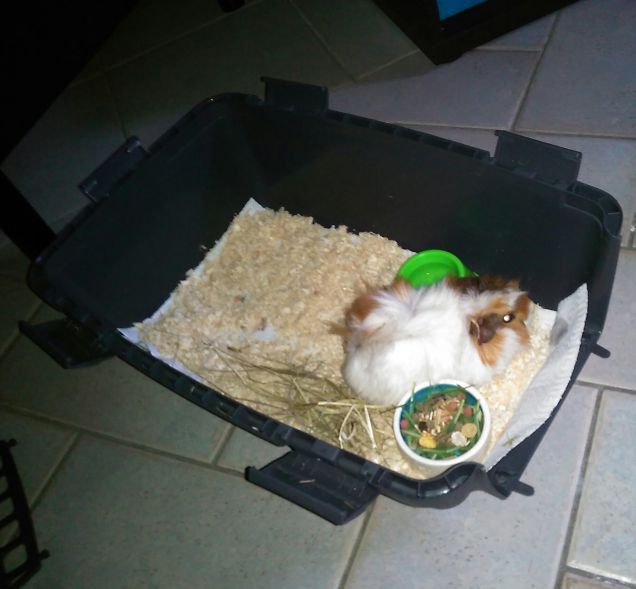 Sally appena arrivata (un anno fa) 