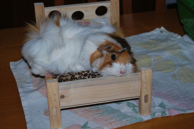Sally sul letto 3