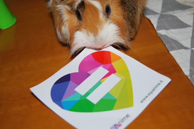 Sally pro diritti LGBT :D