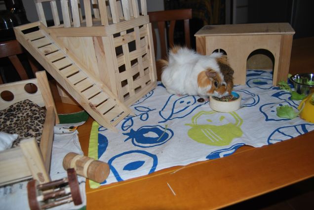 La reggia di Topailles