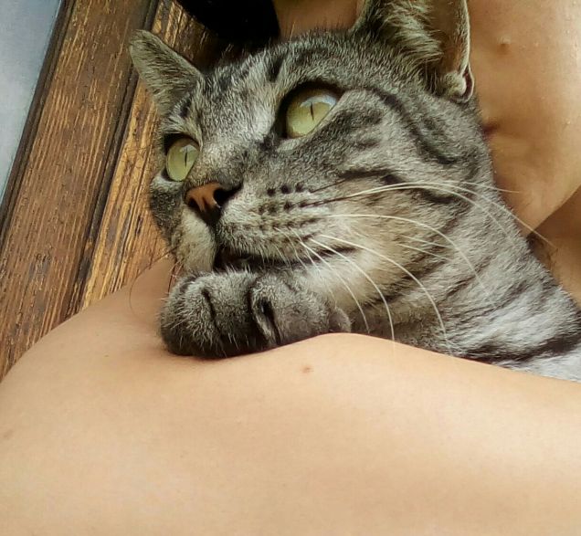 Mamma smettila di darmi i baci!