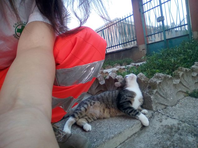 Prima di andare in Croce Verde