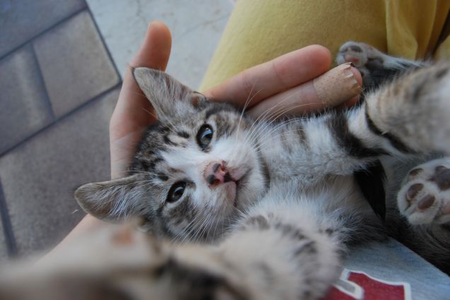 Come si sta bene in braccio a mamma