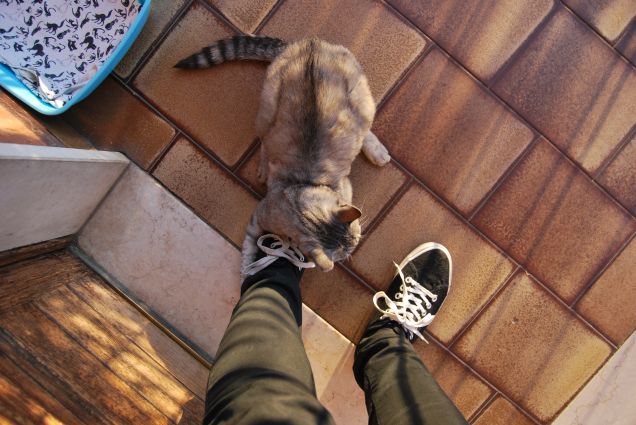 Attaccamento morboso