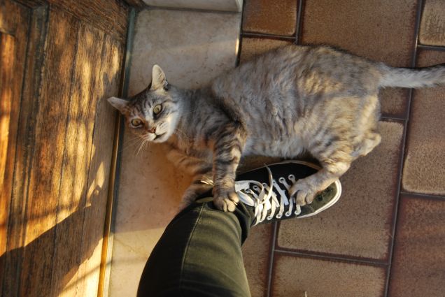 Attaccamento morboso 2