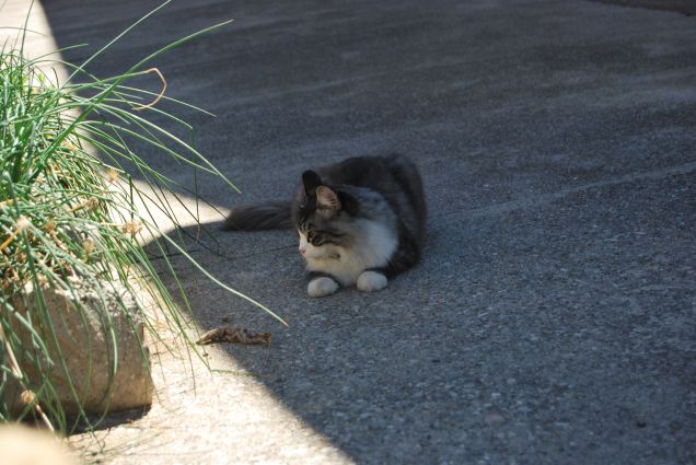I pomereggi di relax