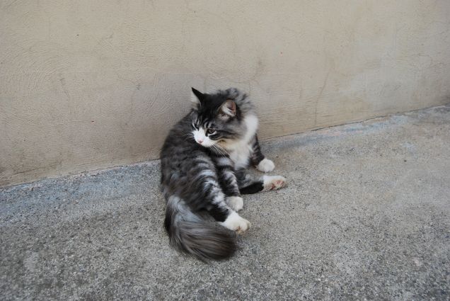 Bimba e le pulizie 4