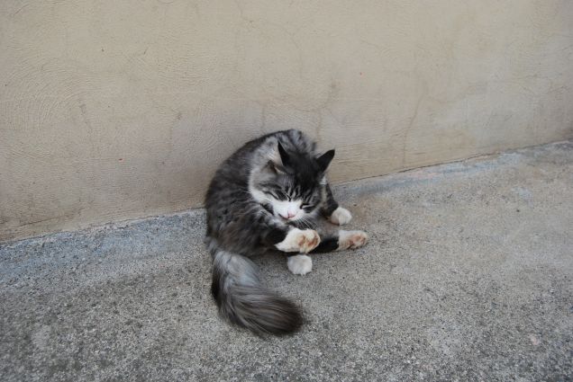 Bimba e le pulizie 5