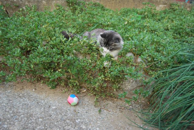 Bimba giocherellona 2