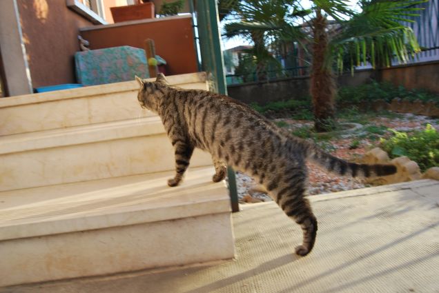 Stufo delle foto, me ne vado