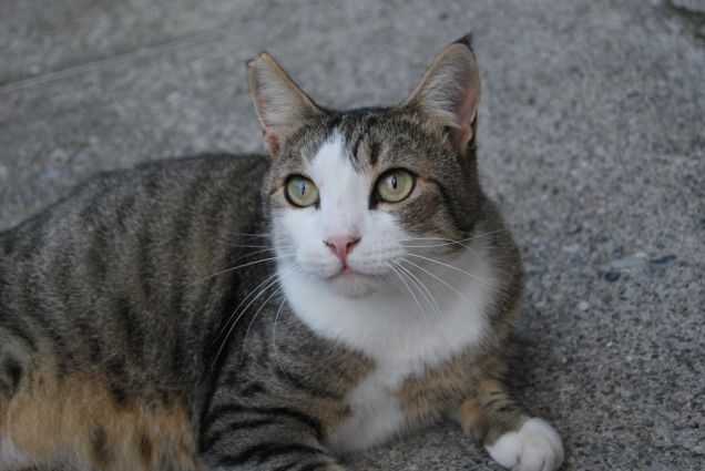 Gli occhi più belli del mondo li hanno loro