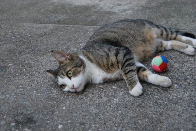 Stanco dopo aver giocato come un pazzo