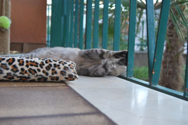 Posizioni discutibili