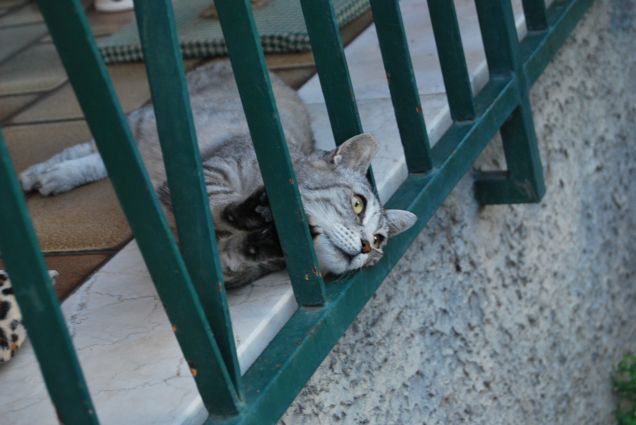 Posizioni discutibili 3