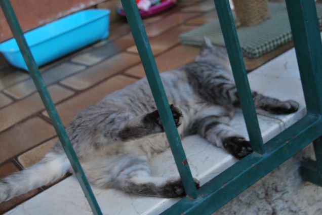 Posizioni discutibili ancora