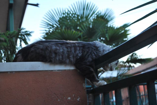 Bimba in posizioni strane