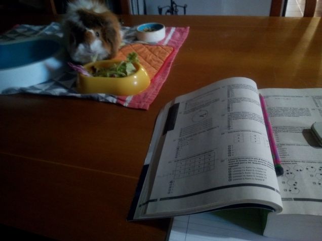 Sally studia con me
