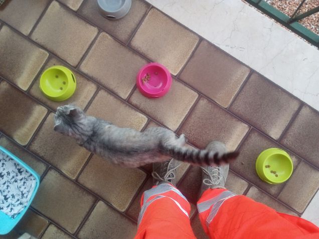 Io vado e voi fate colazione