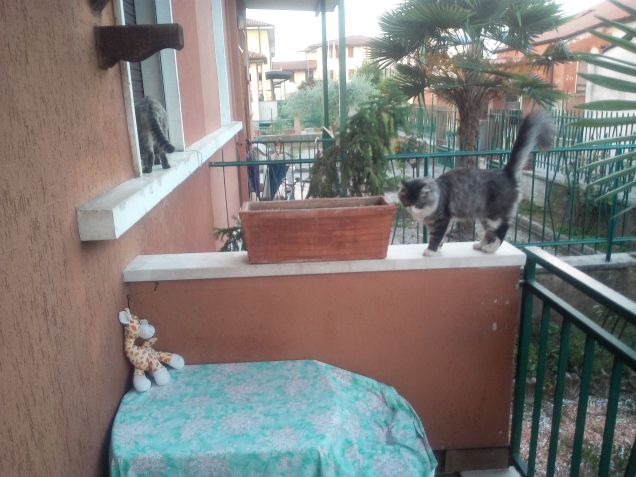 Sul cornicione del balcone