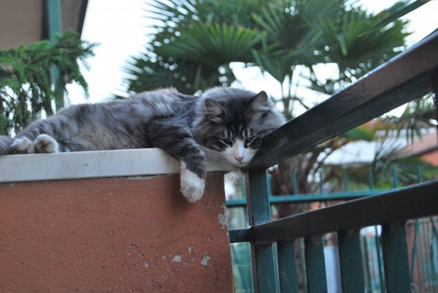 Ma quanto sei bella Bimba mia???