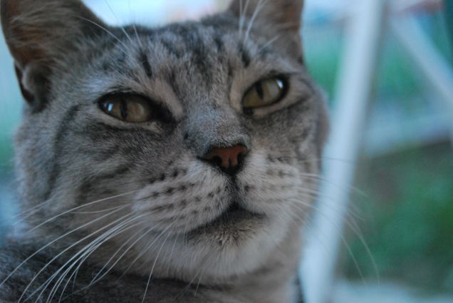 Mamma in primo piano 