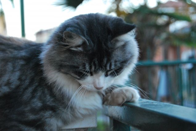 Guarda giù ma sempre a testa in su