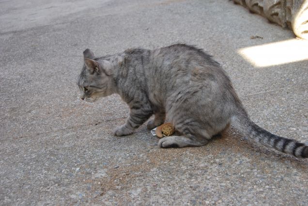 Giochiamo con la lumachina di pezza
