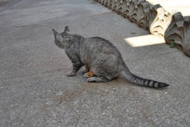 Giochiamo con la lumachina di pezza 2