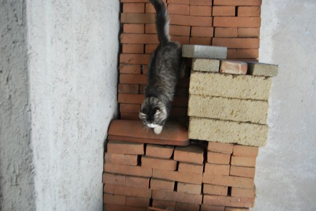 Bimba che scende dalla pila di mattoni