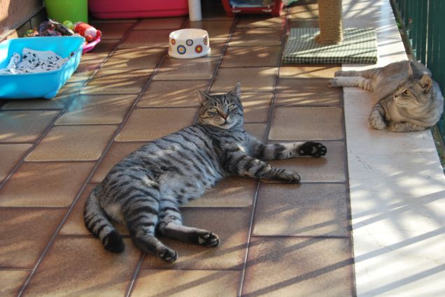 Che bello rilassarsi