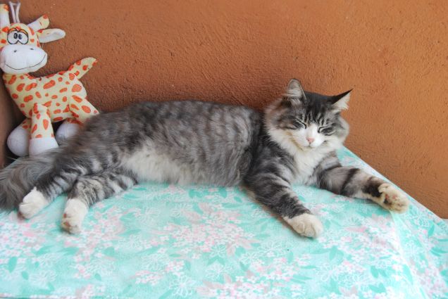 Questo sole fastidioso