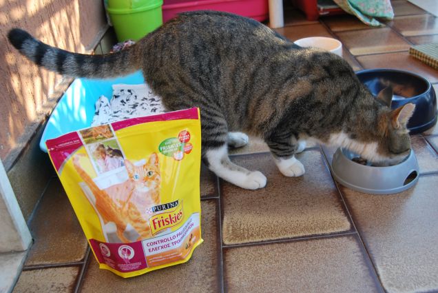 Crocchette adatte a chi ha problemi di palle di pelo