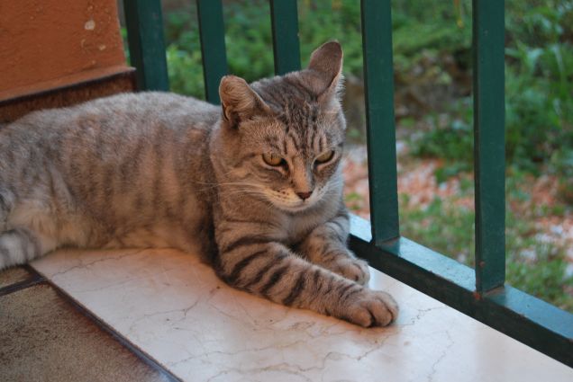 Io mi metto nell'angolino fresco