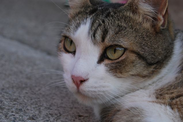 Gli occhi che mi fanno sempre innamorare