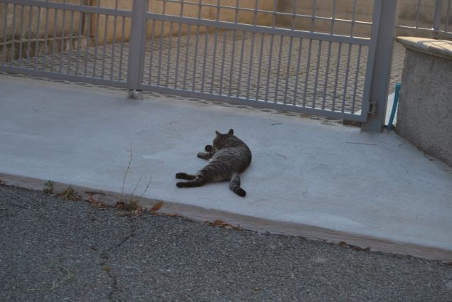 Vabbè, faccio la nanna